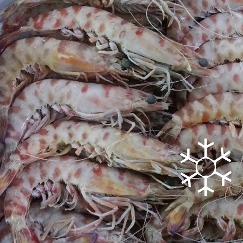 Langostino Tigre 20/30 HUELVA